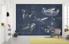Star Wars Blueprint Dark - View 1