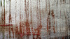 Gaze Dancing grey-merlot - View 1