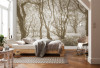 Bleached Birch - View 1