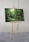 Jungleflair - View 1