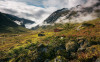 Pure Norway - View 1