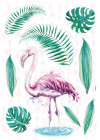 Flamingo - View 1
