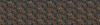 Night Blossoms - View 1