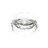 Crab White