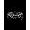 Crab Black