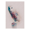 Animals Forest Owl