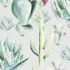 Cactus Grey