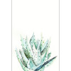 Aloe Watercolor