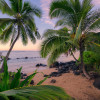 Hawaiian Dreams 