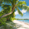 Fiji Dreams Boat 