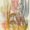 Catchy Corals