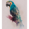 Animals Paradise Parrot