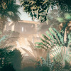 Manoa