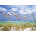 Ocean Breeze - Thumbnail View 1
