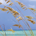 Ocean Breeze - Thumbnail View 1