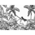 Black Panther - Thumbnail View 1