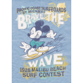 Mickey Brave the Wave