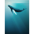 Artsy Humpback Whale