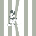 Mickey Be Yourself