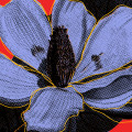 Shades of Flower - Thumbnail View 1
