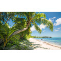 Fiji Dreams Boat  - Thumbnail View 1