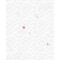 Cherry Blossom - Thumbnail View 1