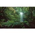 Secret Veil  - Thumbnail View 1