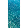Blaupause - Thumbnail View 1