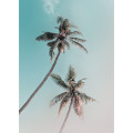 Exotic Love   - Thumbnail View 1