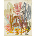 Catchy Corals - Thumbnail View 1