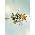 Chirping Birds - Thumbnail View 1