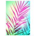 Palm Sunset - Thumbnail View 1