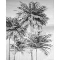 Cocco - Thumbnail View 1