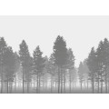 Nebula - Thumbnail View 1