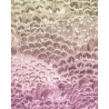 Pale Feathers - Thumbnail View 1
