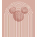 Mickey Arc - Thumbnail View 1
