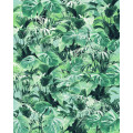Evergreen - Thumbnail View 1