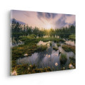 Happiness on Earth - Thumbnail View 1