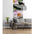 Wellness - Thumbnail View 1