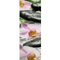 Wellness - Thumbnail View 1