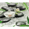 Pure - Thumbnail View 1