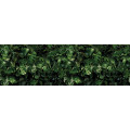 Tropical Wall - Thumbnail View 1