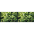 Into the Jungle - Thumbnail View 1
