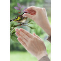 Wedding Birds - Thumbnail View 1