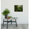 Mystic Birch Grove - Thumbnail View 1
