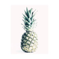 Exotic Love   - Thumbnail View 1