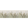 Wall Roses - Thumbnail View 1