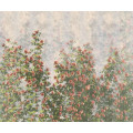 Wall Roses - Thumbnail View 1