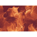 Evoke - Thumbnail View 1