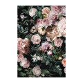 Dreamy Nights - Thumbnail View 1